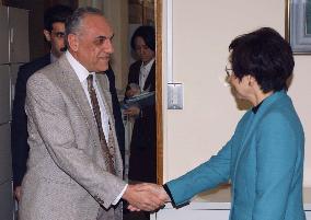 Kawaguchi calls for Saddam's exile to avoid war